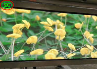 High refresh rate over 3840hz Small Pixel Pitch Indoor Full Color LED Display P1.875 Die Casting Aluminum Cabinet