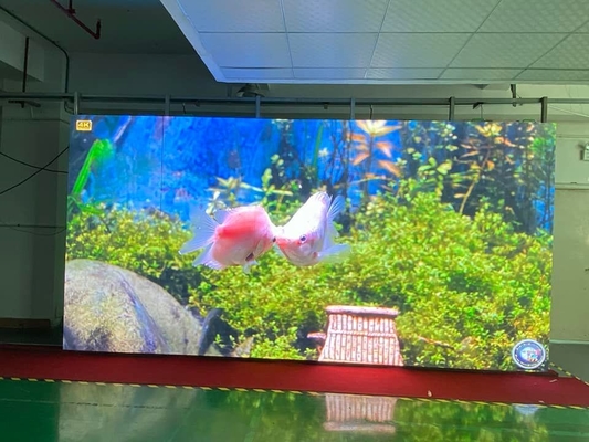 P3.91 LED Wall Display Screen Portable Indoor LED Advertising Display Screen 500X500mm