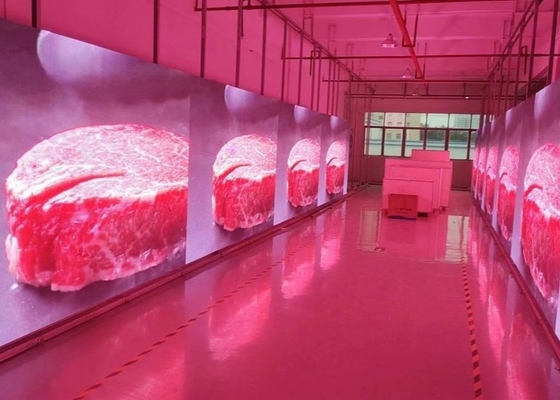 P4.81 Die-Cast Aluminum / Rental LED Display Screen P4 /P5 HD Waterproof No Stain Indoor And Outdoor