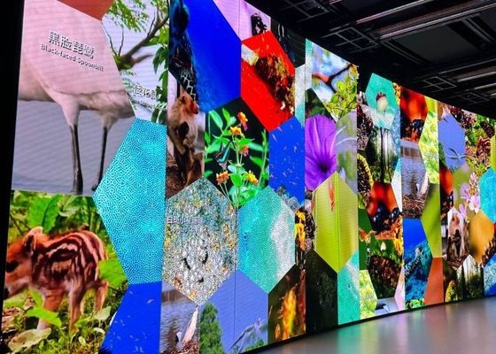 White Balance Brightness ≥7500cd/m2 Fixed Led Display with Module Size of 192*192mm and Mtbf of 5000 Hours