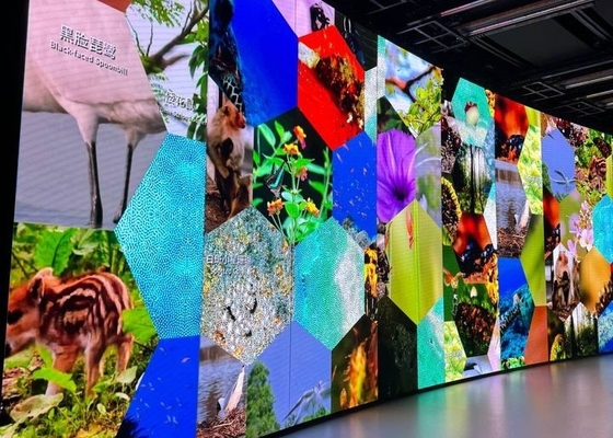 Die-Cast Aluminum Rental Screen Customizable Meeting Room Church HD Flexible LED Display Screen