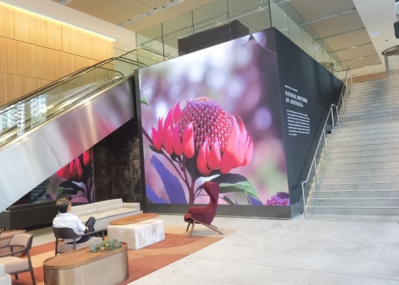 Indoor Rental Screen Small Pitch Ultra-Clear P1.923LED Video Display, Hotel/Bank/Conference Room