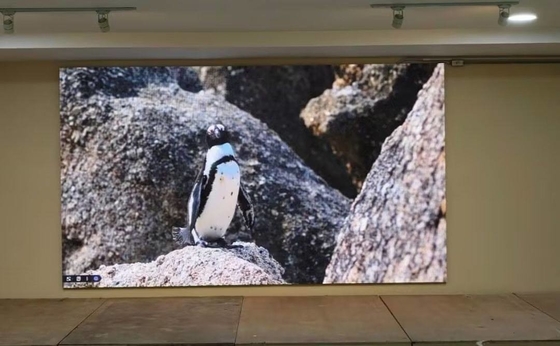 P1.667 Lease RGB LED Monitor NOVA System High Refresh Rate HD No Shadow Dragging