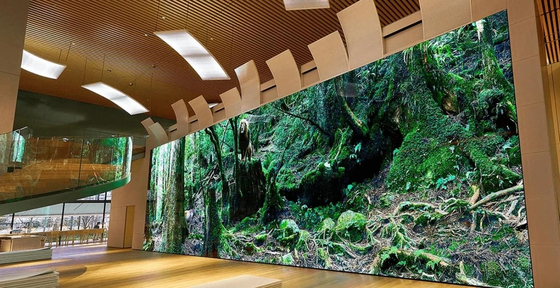 Customizable Indoor Stage Background LED Screen with High Refresh Rate and IC MB5124/MB5024 in SMD1515 Die-Cast Aluminum