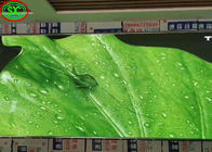 P3 LED Screen Indoor Full Color LED Display Supper High Definition For Advertising