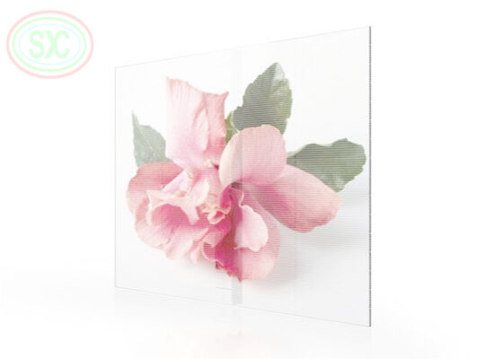 Indoor Commercial Glass Mesh Transparent LED Screen P3.91-7.82 Full Color