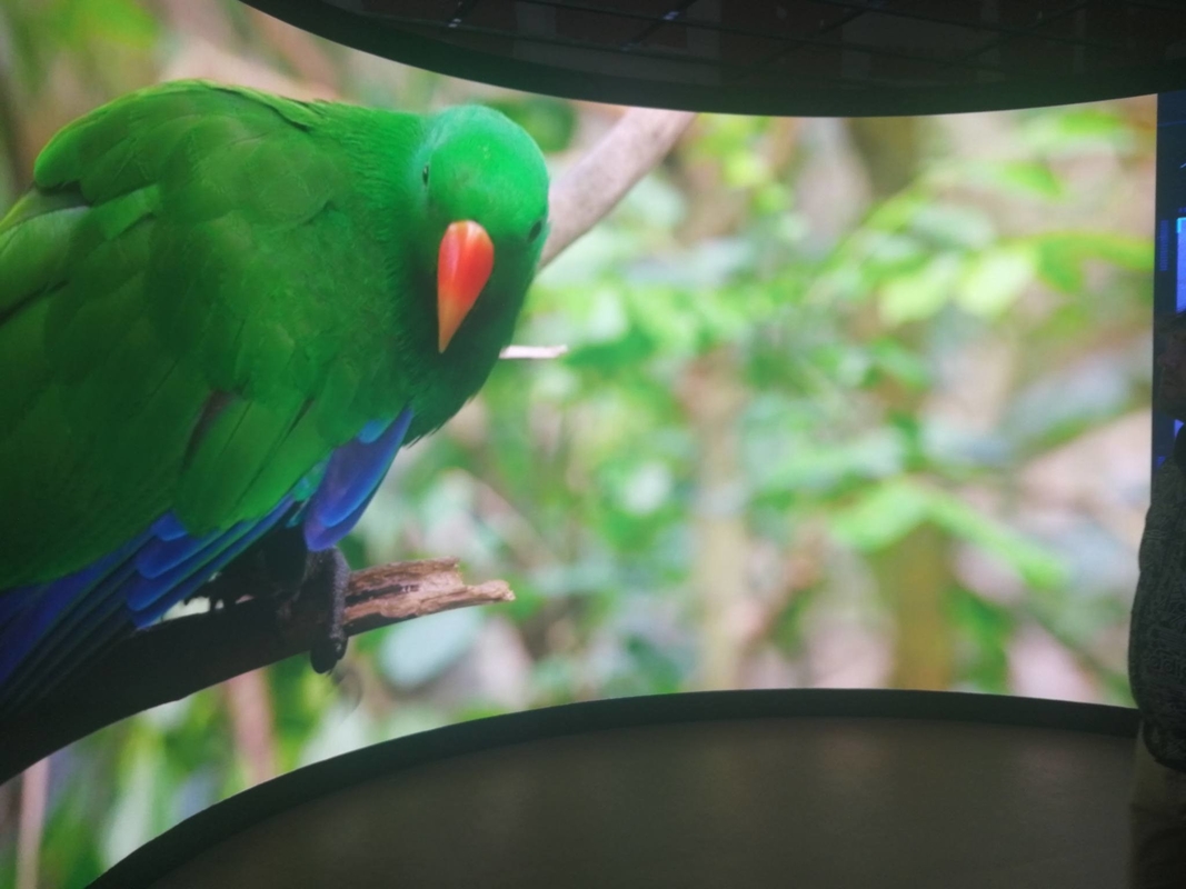 Die-Cast Aluminum Enclosure HD Flexible Module Indoor P2 Flexible LED Module For Advertising Screen