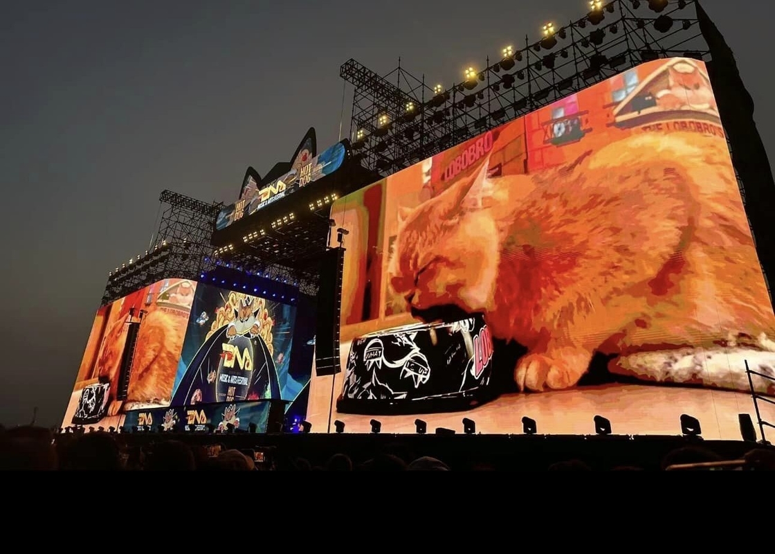 Large Venues Wide Angle Stadium Screen LED Display P10 IP65 Waterproof HD Iron Box