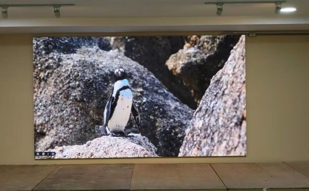 256*128 Module Resolution Fine Pitch Led Display with Full Color Tube Chip CE/ROHS/FCC Certified