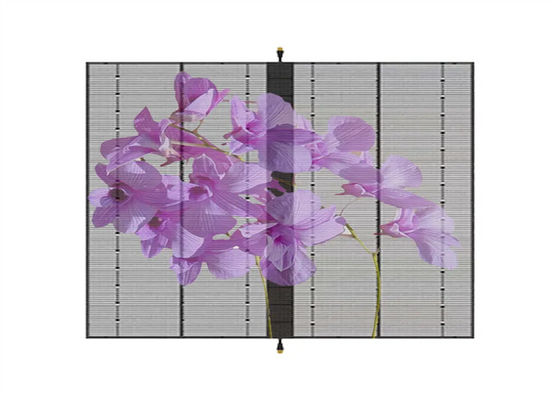 AC100-240V 60Hz Input Transparent LED Display Screen for Indoor Advertising Video Display Function 3-5 Years Warrant