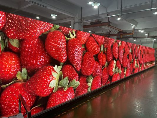 Good price Best quality P4 Indoor 512x512 Background Rental Led Display Screen with 3840hz refresh rate online